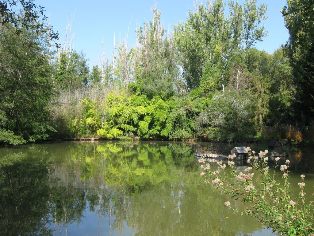 Bed & Breakfast Le Moulin Neuf Saint-Alvère 외부 사진